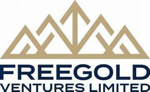 Freegold  Limited logo